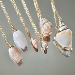 May include: A set of six gold chain necklaces with different seashell pendants. The shells are all natural and have a variety of shapes and colours.