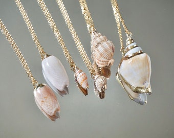 Collier pendentif coquillage naturel, bijoux bohème réglable