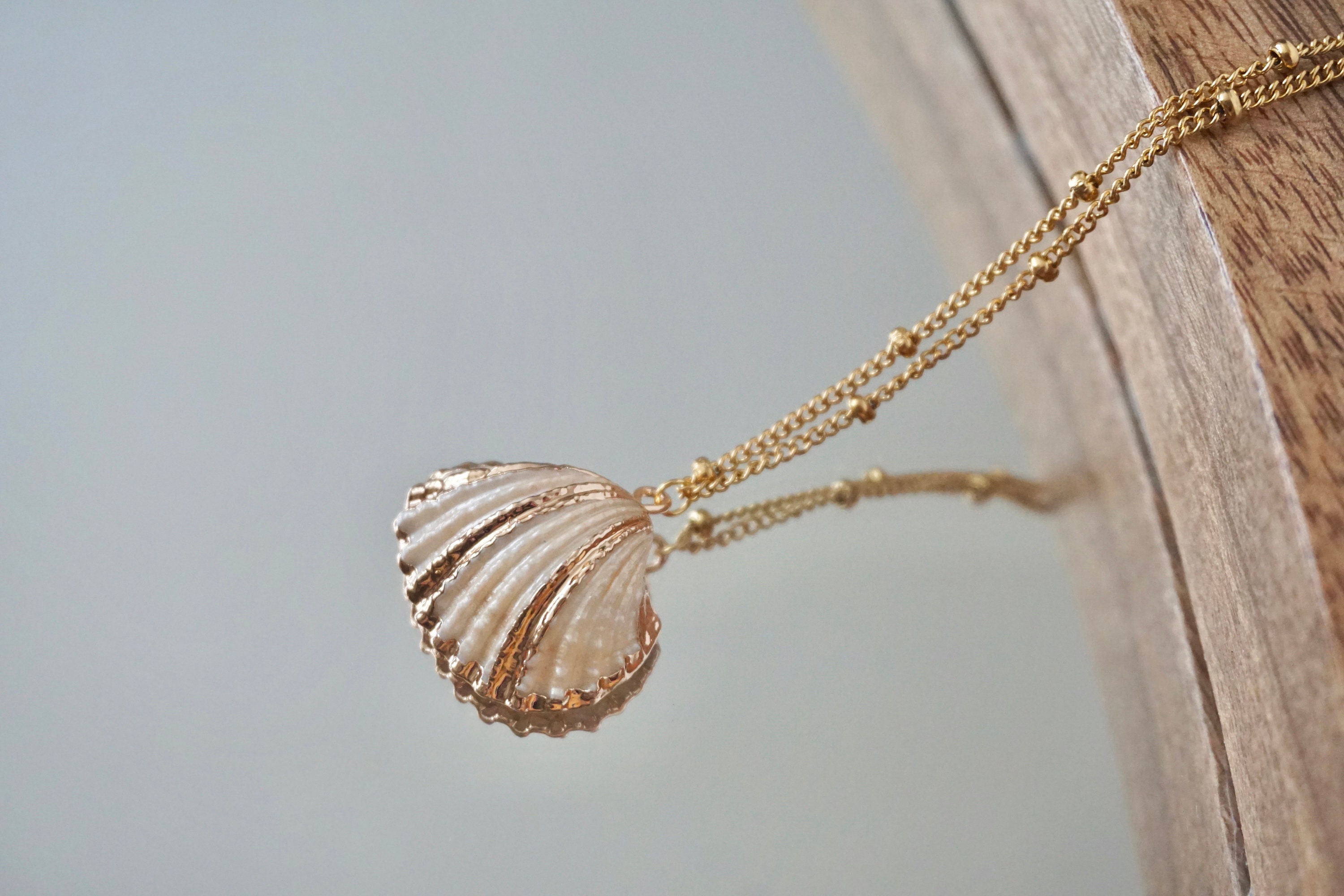Natural Seashell Necklace, Boho Jewelry, Seashell Pendant Necklace, Cowrie Adjustable Necklace, Beach Wedding, Ocean Jewelry