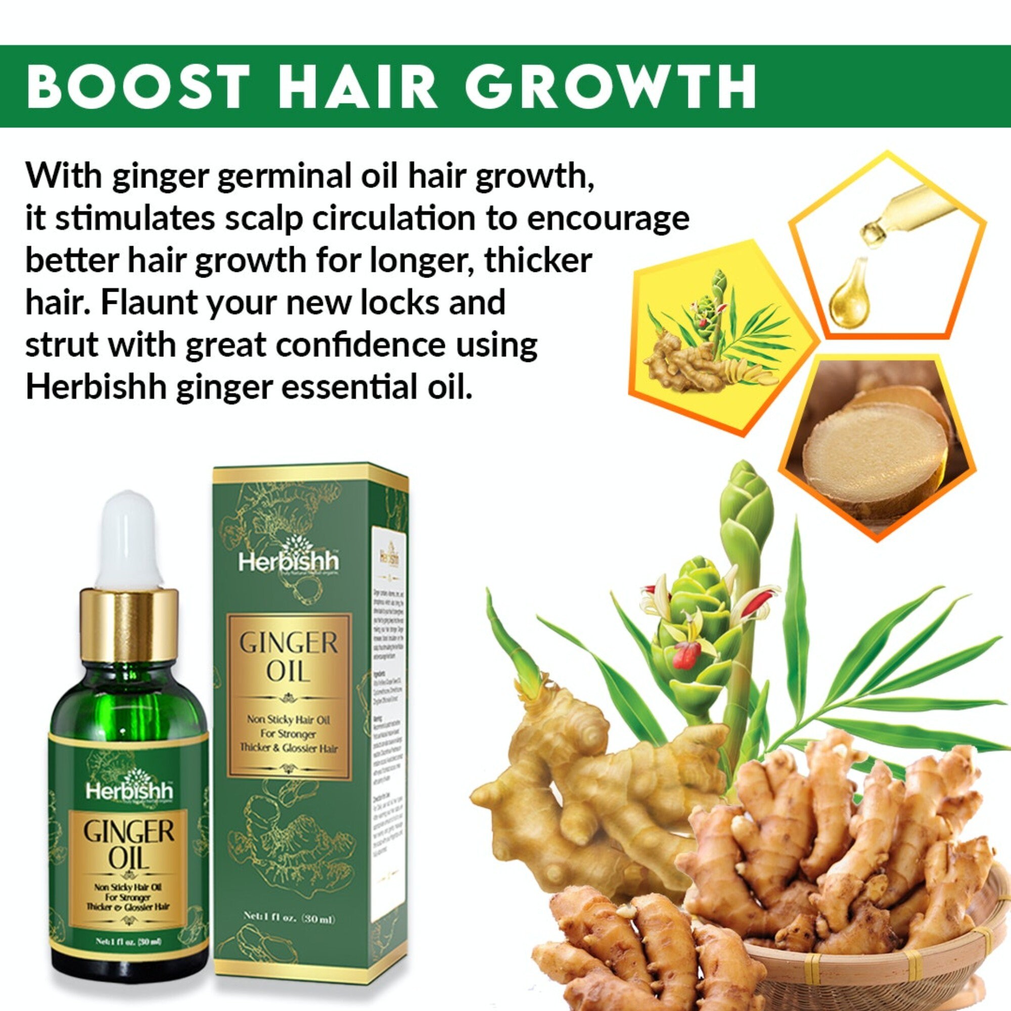 Herbishh Ginger Hair Oil for Hair Growth With Ginger Extract Fast Hair Growth Dense Regrowth