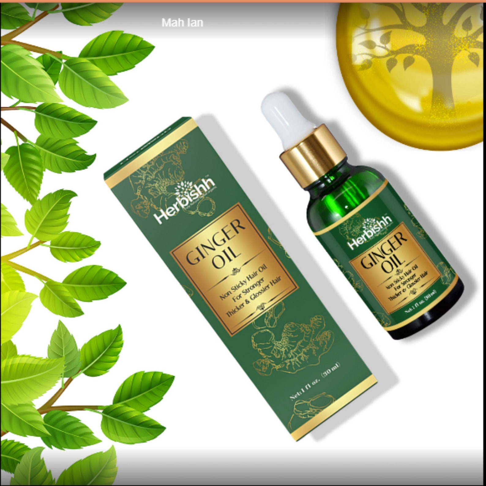 Herbishh Ginger Hair Oil for Hair Growth With Ginger Extract Fast Hair Growth Dense Regrowth