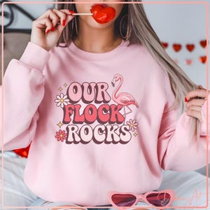 May include: Pink sweatshirt with a pink flamingo and the text "Our Flock Rocks" in a retro font.