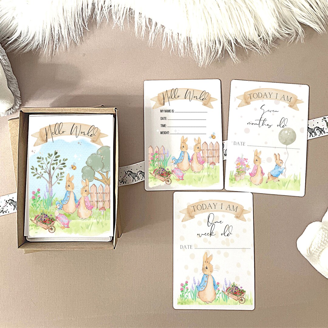 Bunny Rabbit New Baby Milestone Cards, Milestone Card for New Baby ...