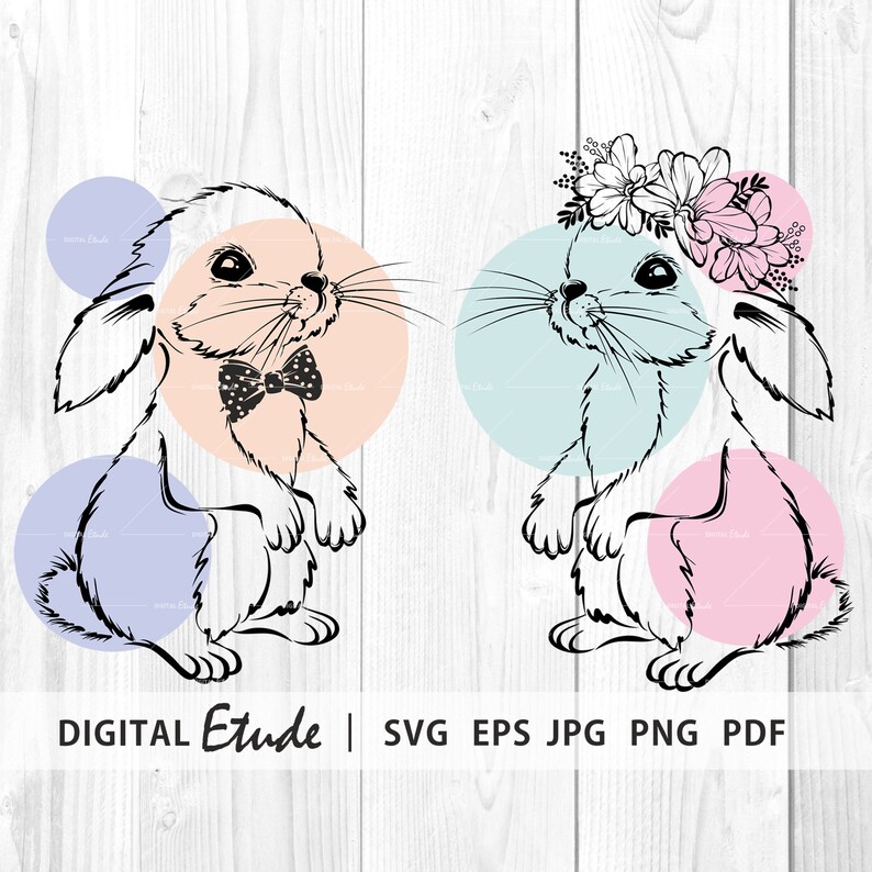 Download Cute Little Bunny Svg Easter Bunny Svg Rabbit Lover Gift Bunny Boy Bow Tie Svg Bunny Girl Flower Svg Pet Supplies Pet Portraits Baja Tan Com
