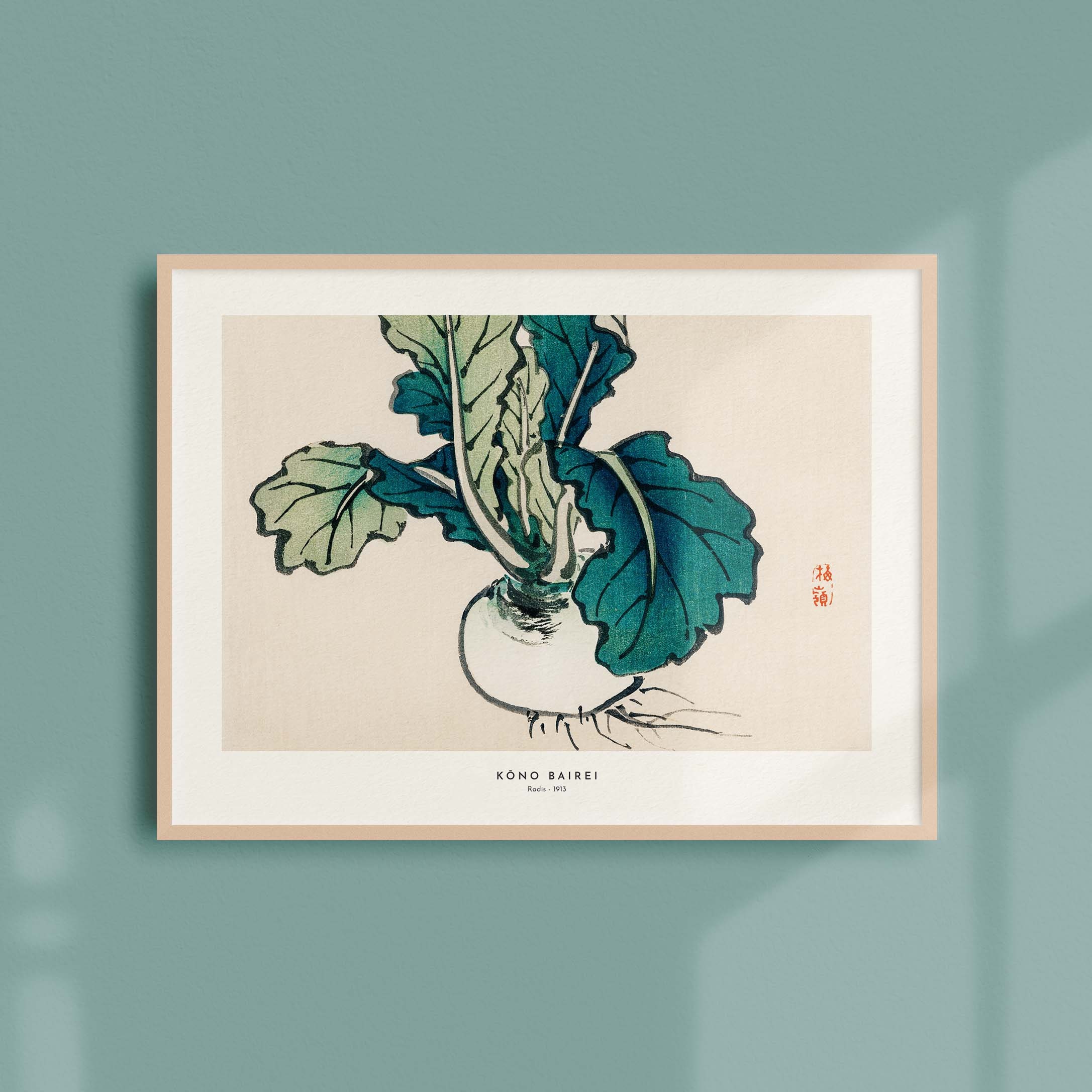 Estampe Japonaise de K?no Bairei - Radis