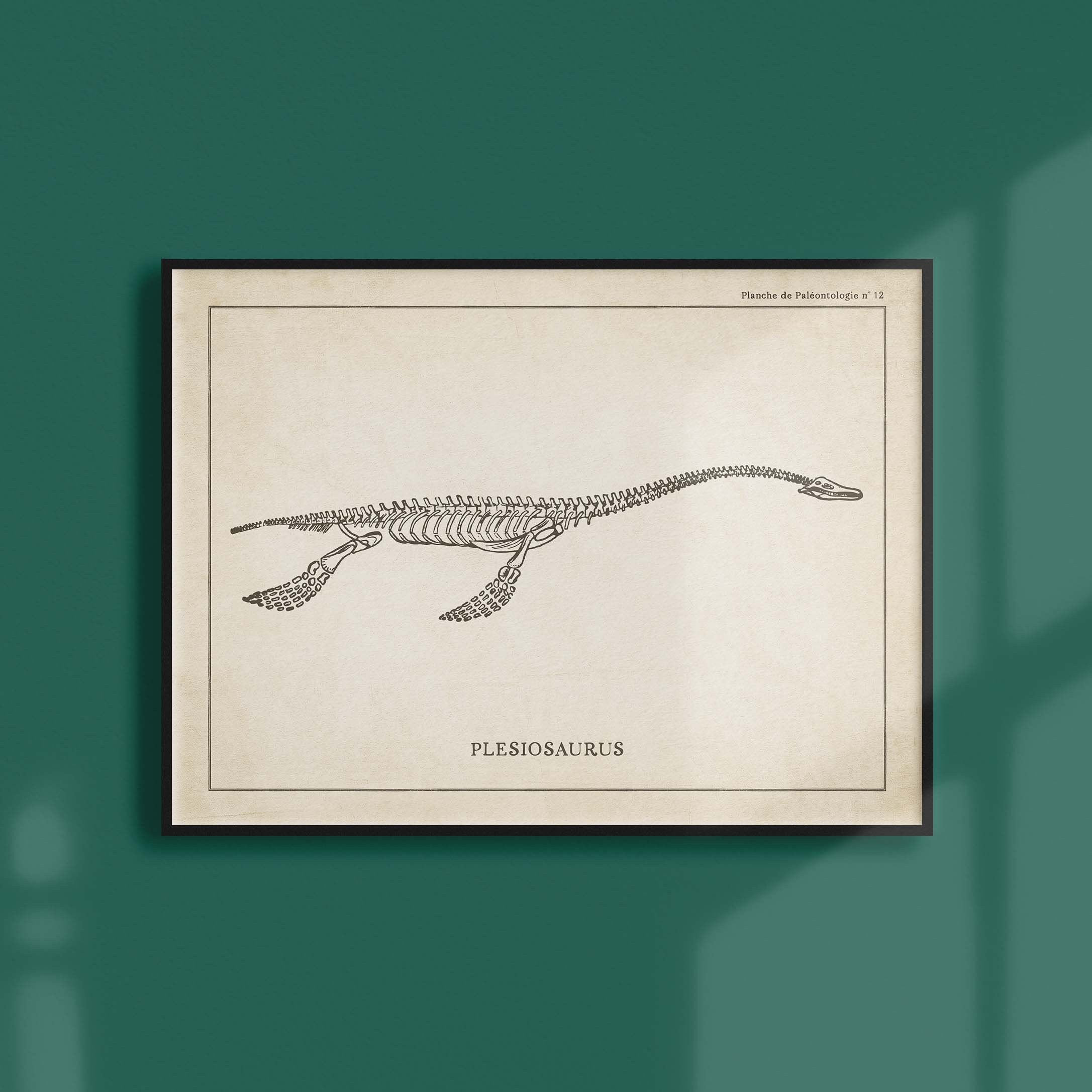 Affiche Dinosaure Vintage - Paléontologie Squelette de Plesiosaure