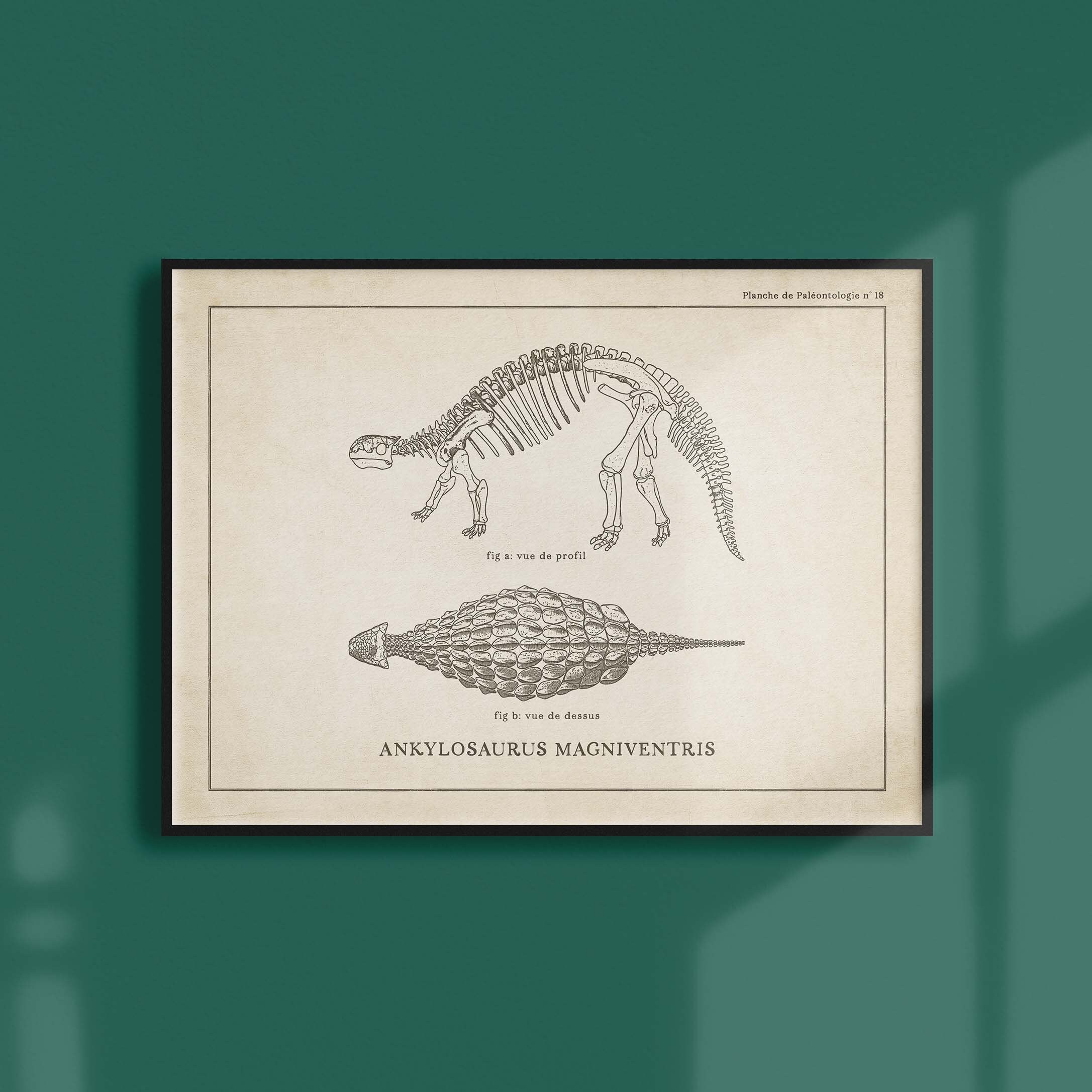 Affiche Dinosaure Vintage - Paléontologie Squelette d'ankylosaure