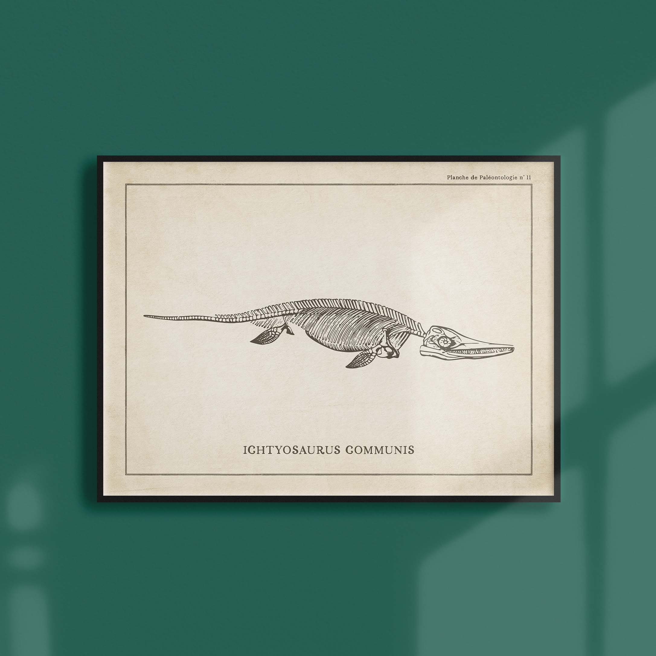 Affiche Dinosaure Vintage - Paléontologie Squelette d'ichtyosaure