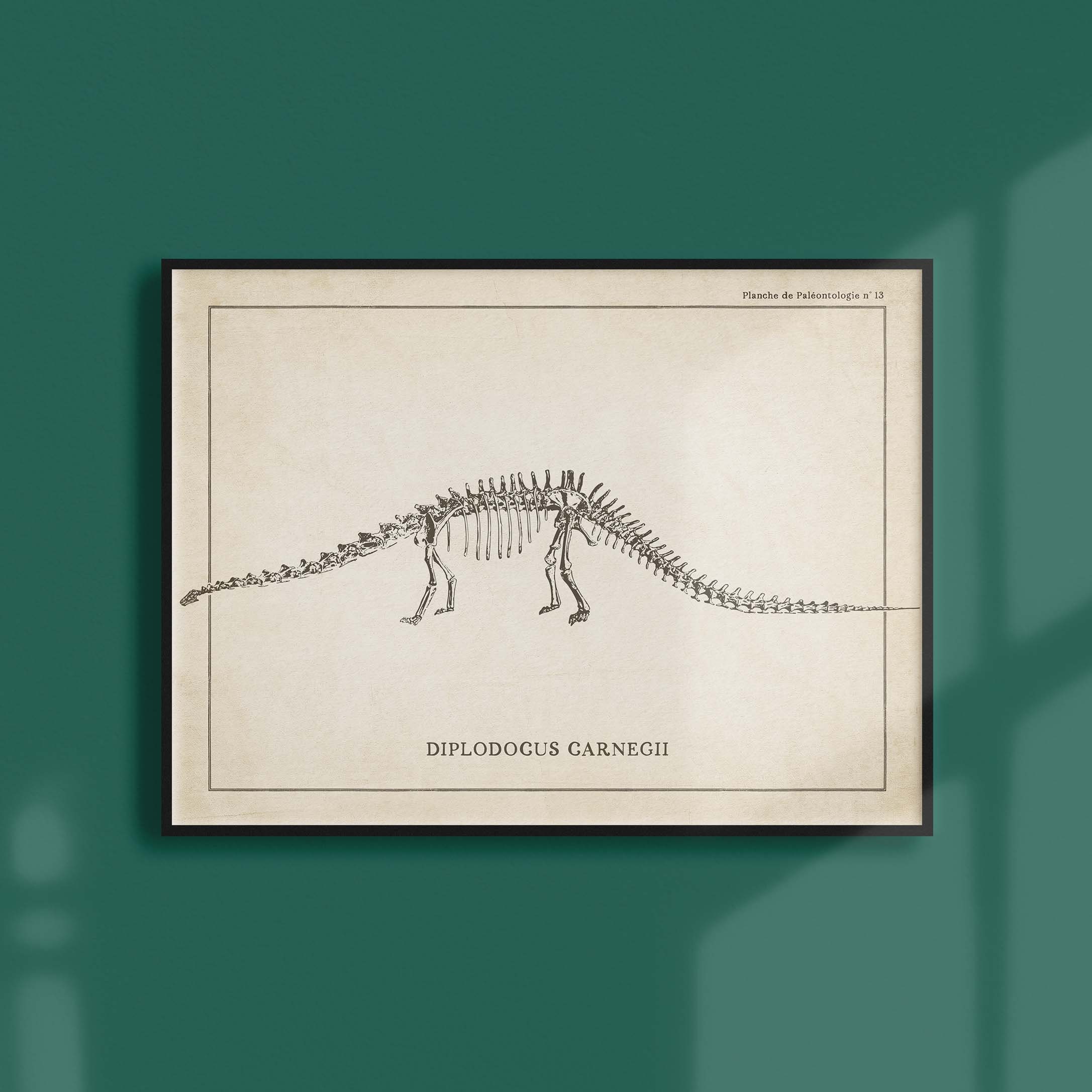 Affiche Dinosaure Vintage - Paléontologie Squelette de Diplodocus