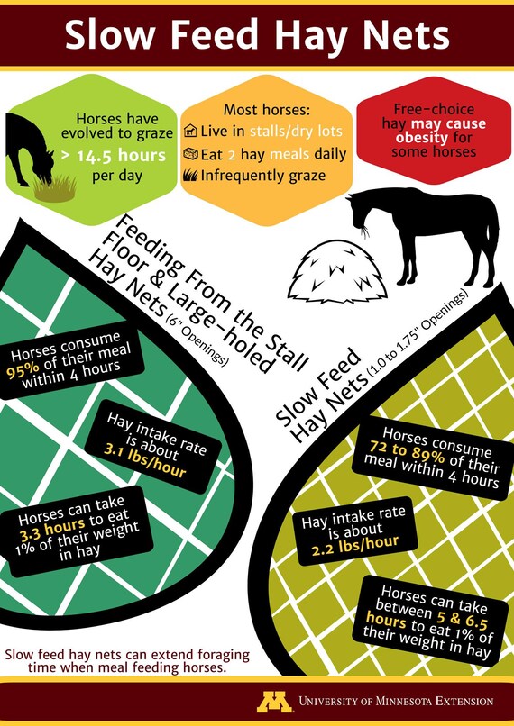 hay chix slow feed net