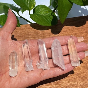 Lemurian Seed Crystal - Lemurian Quartz