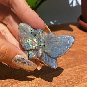 Labradorite Butterfly - High Quality
