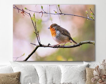 Canvas picture robin, mural, photography, wall art, canvas, bird, nature, Delgado