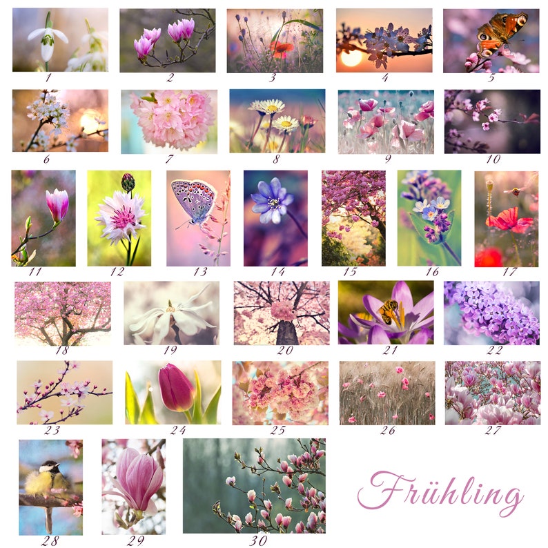 Postcard set spring set 1 of 2 30 motifs to choose from image 1