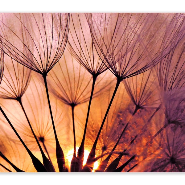 Leinwandbild Pusteblume, Wandbild, Fotografie, Löwenzahn, Wohnzimmer, Schlafzimmer, Esszimmer, Büro