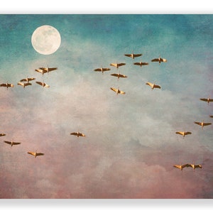 Canvas picture cranes, vintage, mural, photography, wall art, canvas, bird migration, birds, Delgado