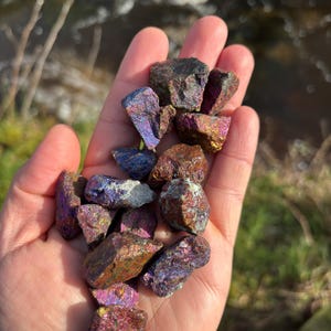 May include: A collection of iridescent pyrite stones, showing a range of colours such as purple, gold, and bronze. The rough stones are held in an open hand, with a natural outdoor background.