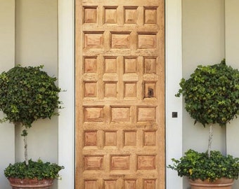 Custom Solid Wood Entrance Door: Antique Barn Door Style
