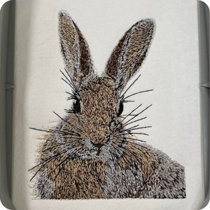 Motif de broderie lapin, joli motif de broderie lapin velu, broderie machine peluche lapin, broderie lapin de Pâques, cerceau 5 x 7 pouces