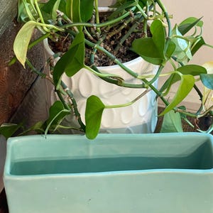 May include: A rectangular, light turquoise ceramic planter with a smooth, matte finish. The vessel features a long, open top and straight sides, providing a clean, simple structure for holding small plants or decorative items in a home space.
