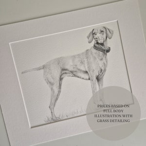 Personalised Pet Sketch, Custom Animal Drawing, Bespoke Portrait, Dog Cat Lover Illustration, Memorial Artwork