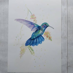 Hummingbird Print, Art Print, Bird Print, Print, A3 Print, Limited Print, Home Decor Print, Nature Print, Hummingbird Art