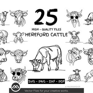 25 Hereford Cattle SVG Bundle, Farm Animal Cow Line Art Clipart, PNG DxF PDF Vector Files for Cricut, Laser Cutting and Sublimation