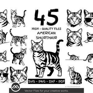 Puede incluir: Una colección de 45 ilustraciones en blanco y negro de gatos American Shorthair. La imagen presenta gatos en varias poses, incluyendo algunos con gafas de sol. El texto dice "HIGH-QUALITY FILES AMERICAN SHORTHAIR".