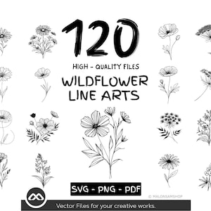 Paquete de 120 ilustraciones de flores silvestres (SVG, PNG y PDF), imágenes prediseñadas de flores botánicas, ilustraciones florales dibujadas a mano, conjunto de vectores de flores minimalistas