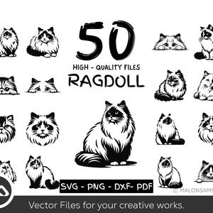May include: A set of 50 black and white vector illustrations of Ragdoll cats in various poses. The text "HIGH-QUALITY FILES RAGDOLL" is displayed above the images. The text "SVG - PNG - DXF - PDF" is displayed below the images. The text "Vector Files for your creative works." is displayed at the bottom of the image.