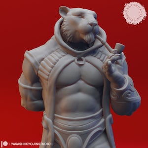 Rakshasa Miniature for Dungeons and Dragons|Tabletop RPGs