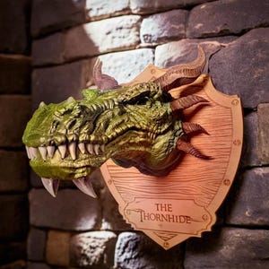 May include: A green dragon head mounted on a wooden shield with the text "THE THORNHIDE" on a plaque.