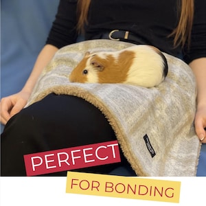 May include: A guinea pig with brown, white, and black fur rests on a soft, light gray blanket. The blanket has a brown trim and a black label. Text on the image reads "PERFECT FOR BONDING".