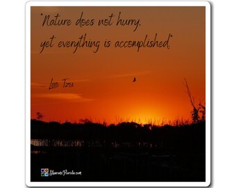 Nature Does Not Hurry Magnet