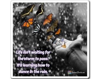 Learn to Dance in the Rain Magnet