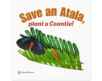 Save an Atala, Plant a Coontie! - Indoor/Outdoor Sticker
