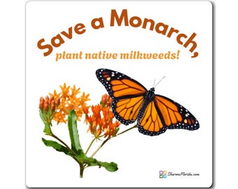 Save a Monarch Magnet