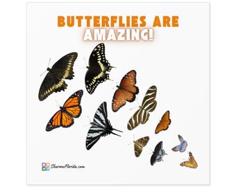 Butterfly Variety Vinyl Sticker – Waterproof, Scratch Resistant