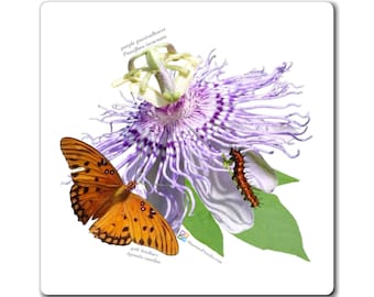 Gulf Fritillary Butterfly Magnet