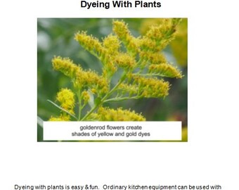 Dyeing With Plants - A Printable Guide