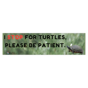 May include: A rectangular bumper sticker with the text "I STOP FOR TURTLES, PLEASE BE PATIENT." The word "STOP" is in red. A turtle is on the right side of the sticker, with a blurred green background.