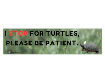 I Stop For Turtles Bumper Sticker