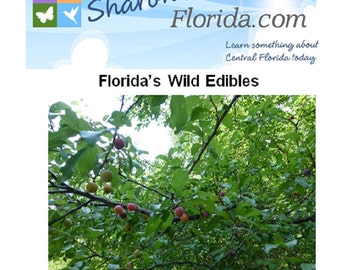 Florida's Wild Edibles - A Guide to Edible Plants Native to Florida - Printable - 10-pages