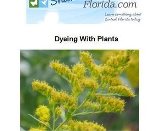 Dyeing With Plants - A Printable Guide