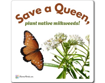 Save a Queen Magnet