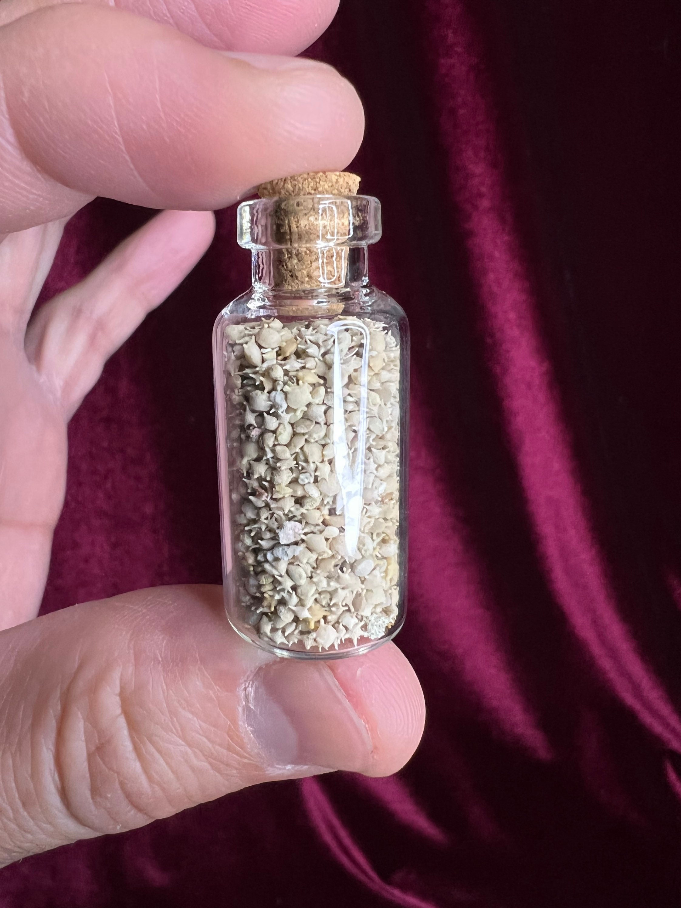 Okinawa Star Sand in a Bottle - Etsy Okinawa Star Sand in a Bottle - Etsy