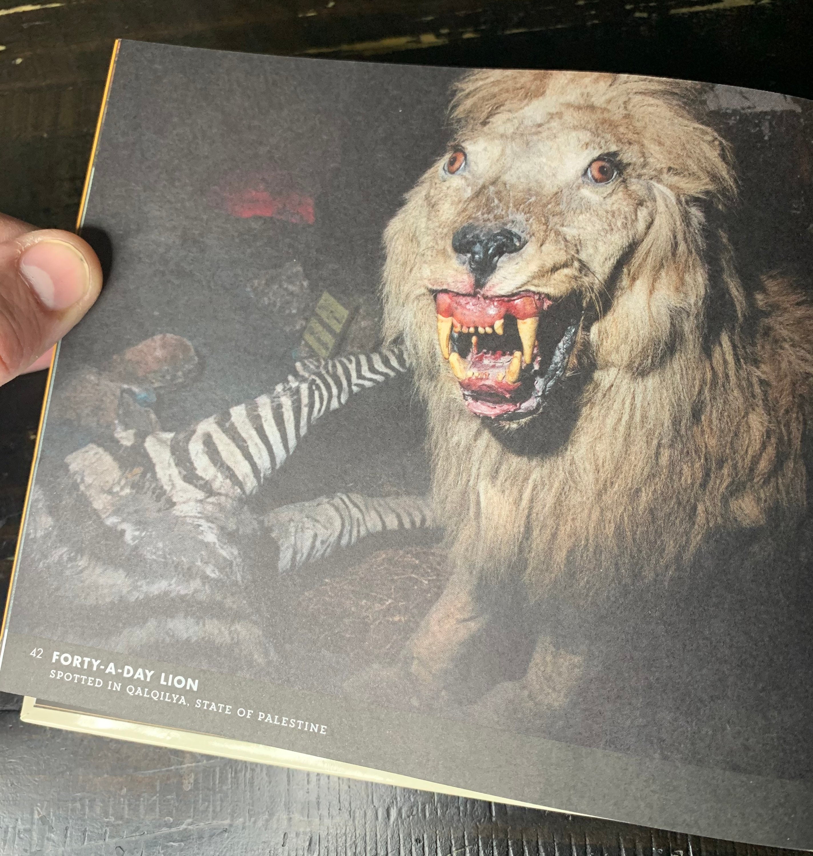 Crap Taxidermy Etsy