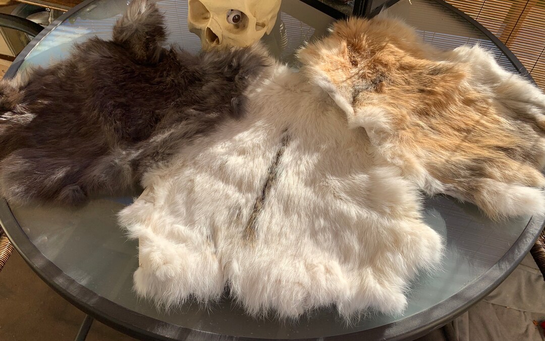 Rabbit Pelts Etsy