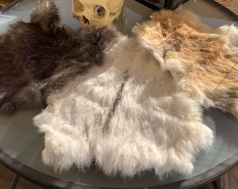 Rabbit pelts