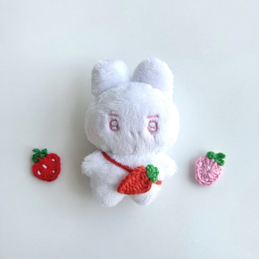 Fruit Bag for 10cm Kpop Dolls Australia